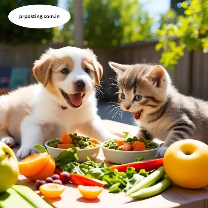 wellhealthorganic organic pet food benefits