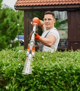 Dawson Tree Services