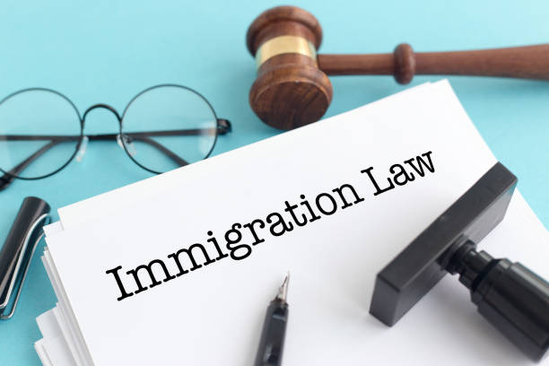 Immigration Habeas Corpus Attorney